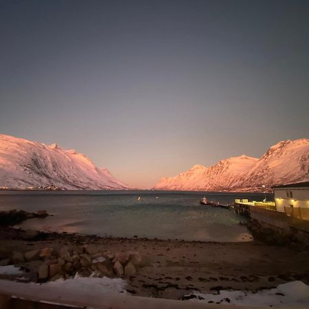 House Of Ellie Bed and Breakfast Ersfjordbotn Eksteriør billede